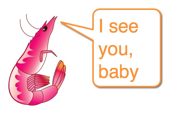 see-you-baby