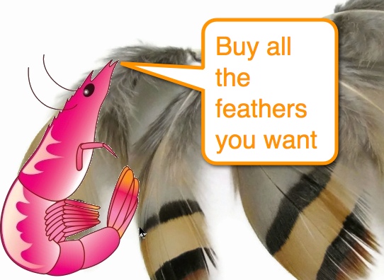 feathers-shrimp