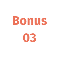 Bonus 3